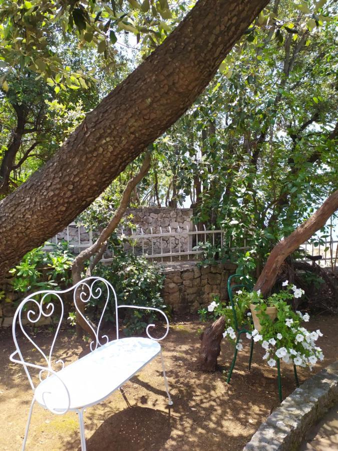 Kožino Apartment Palatisa מראה חיצוני תמונה